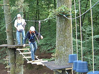 picture of one part of the high-rope course